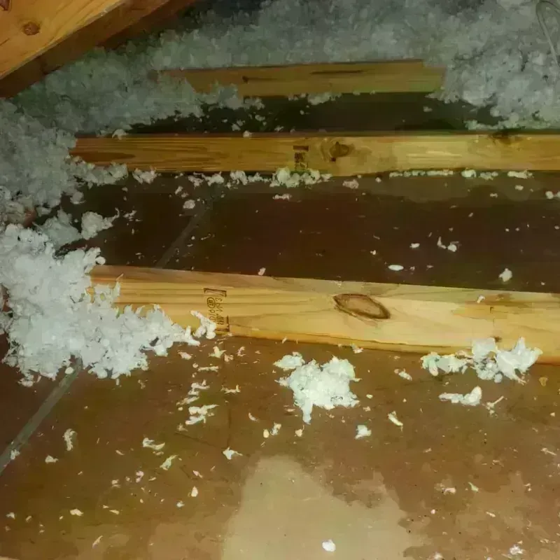 Attic Water Damage in Aristocrat Ranchettes, CO